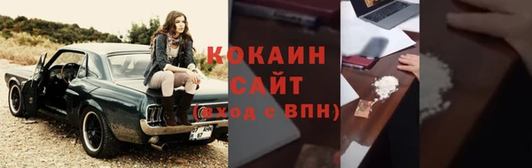 гашик Арсеньев