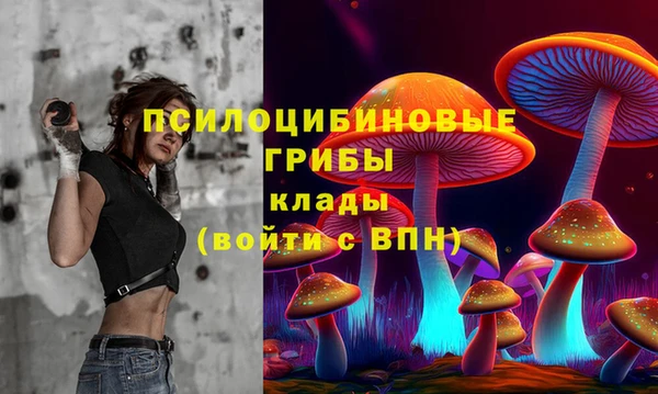 гашик Арсеньев