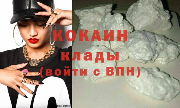 гашик Арсеньев