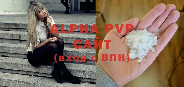 гашик Арсеньев