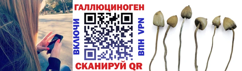 Псилоцибиновые грибы мухоморы как найти закладки Урай